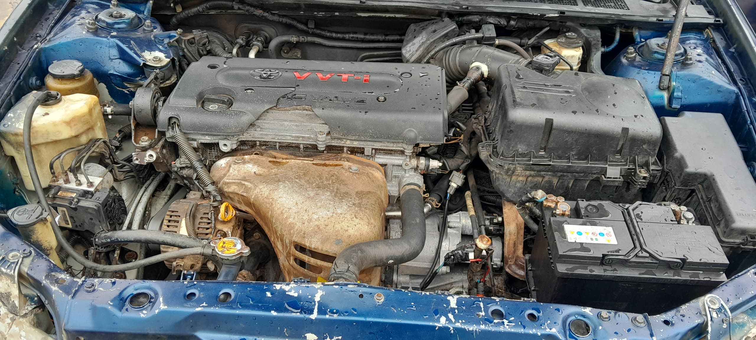 Car Image 5