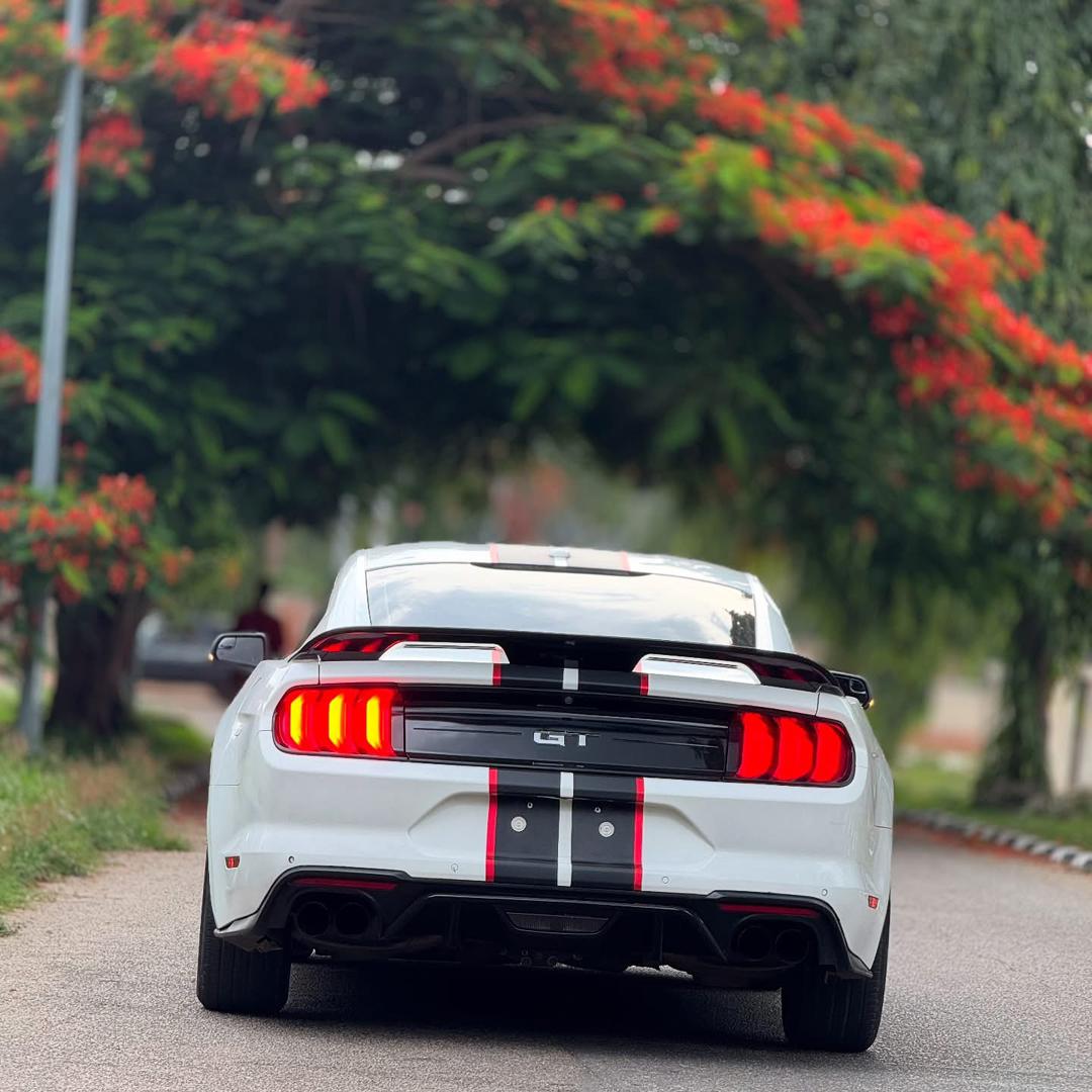 Car Image 8